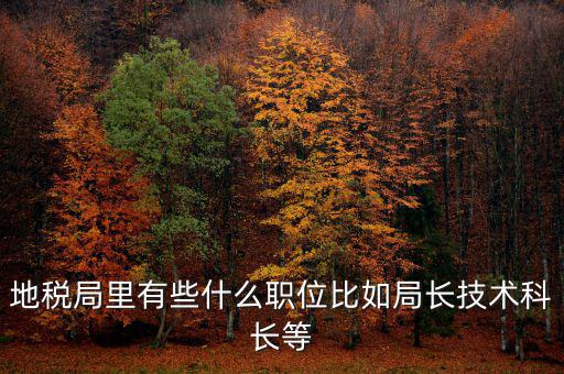 地稅局有什么委員，地級(jí)市稅務(wù)局辦公室副主任屬什么級(jí)別的官員
