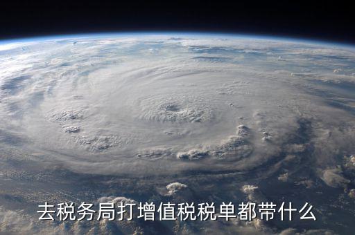 國稅局打印稅單要什么，到稅務打印稅單需要什么資料