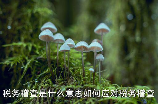 什么是稅務(wù)稽查積案，稅務(wù)稽查本指什么