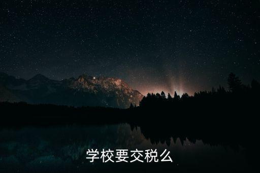 民辦學(xué)校交什么稅，你好我想問問民辦學(xué)?？梢砸髮W(xué)生補(bǔ)課嗎把補(bǔ)課的錢作為必交費(fèi)