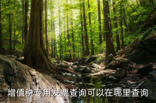 什么地方可以查發(fā)票內(nèi)容，怎樣通過發(fā)票號(hào)碼查尋發(fā)票內(nèi)容