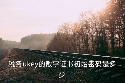 稅務ukey的數字證書初始密碼是多少