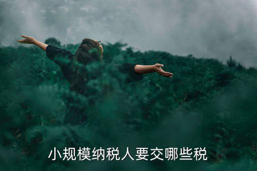 小規(guī)模納稅人報什么稅，小規(guī)模納稅人要交哪些稅