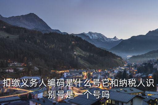 易稅門戶扣繳義務人編碼是什么，易稅門戶中扣繳義務人編碼指什么