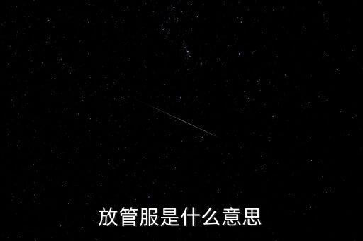 放管服嚴(yán)善活是什么，什么是放管服 放管服怎么理解
