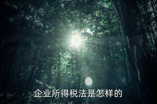 什么是企業(yè)所得稅法，企業(yè)所得稅法是怎樣的