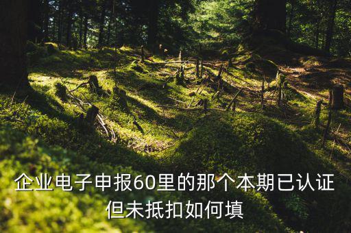 企業(yè)電子申報60里的那個本期已認(rèn)證但未抵扣如何填