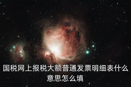 發(fā)票里的明細(xì)是什么意思，國稅網(wǎng)上報稅大額普通發(fā)票明細(xì)表什么意思怎么填