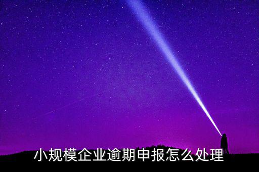 小規(guī)模納稅人如果沒有按時申報有什么后果，小規(guī)模不報稅什么后果
