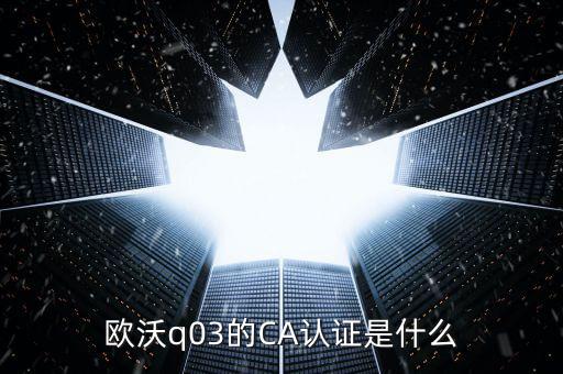 ca認(rèn)證密碼是什么，歐沃q03的CA認(rèn)證是什么