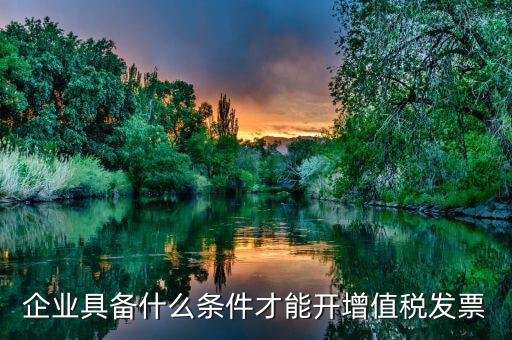什么企業(yè)增值稅發(fā)票，企業(yè)具備什么條件才能開(kāi)增值稅發(fā)票