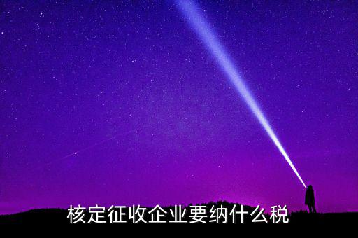 什么稅可以核定征收，核定征收企業(yè)要納什么稅