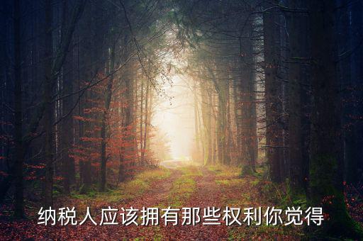 納稅人的權(quán)益有什么，納稅人應(yīng)該擁有那些權(quán)利你覺得