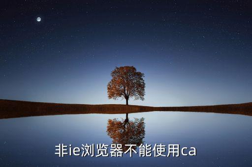 ca驅動程序是什么，非ie瀏覽器不能使用ca