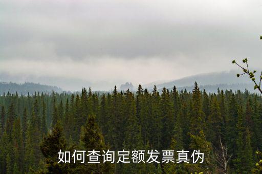 定額發(fā)票查詢的密碼是什么，如何查詢定額發(fā)票真?zhèn)?/></a></span><span id=