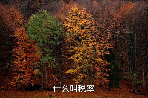 什么叫增值稅稅率，增值稅普通發(fā)票的稅率是什么意思