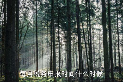 什么時(shí)候教育稅附加申報(bào)，每月稅務(wù)申報(bào)時(shí)間什么時(shí)候