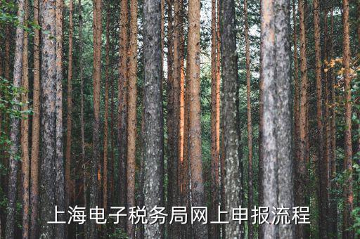 上海稅務網(wǎng)上直報是什么，什么是網(wǎng)上報稅