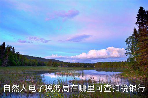 電子稅務局銀行端查詢什么，天津電子稅務局如何查詢銀行賬戶備案信息