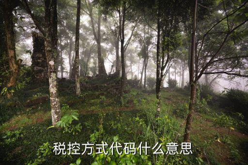 什么叫稅控碼，稅控方式代碼什么意思