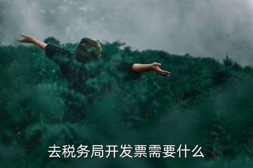 常州國稅認(rèn)證發(fā)票需要帶什么手續(xù)，去國稅認(rèn)證發(fā)票需要帶什么資料