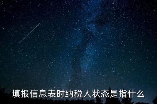 納稅人狀態(tài)03是什么意思，填報(bào)信息表時(shí)納稅人狀態(tài)是指什么
