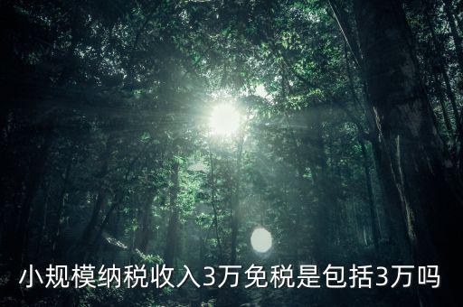 3萬免稅是指什么，小規(guī)模納稅收入3萬免稅是包括3萬嗎