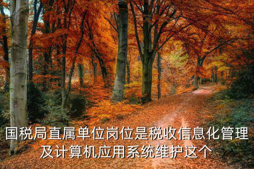 稅收信息化崗位做什么，信息化在稅務(wù)管理中有什么作用
