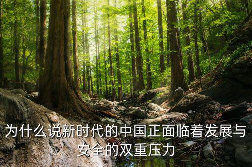中國(guó)的雙重負(fù)擔(dān)是什么，為什么說新時(shí)代的中國(guó)正面臨著發(fā)展與安全的雙重壓力