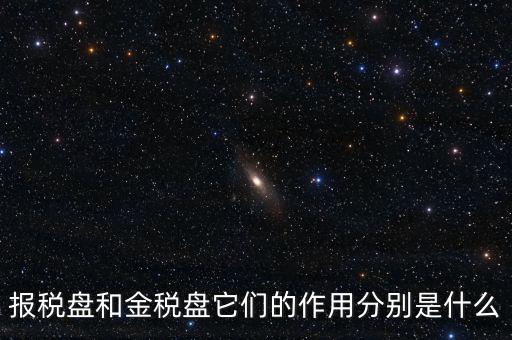 報(bào)稅盤做什么用的，報(bào)稅盤和金稅盤它們的作用分別是什么