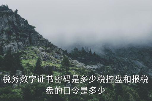國(guó)稅申報(bào)ca默認(rèn)密碼是什么意思，國(guó)家稅務(wù)總局網(wǎng)上辦稅服務(wù)廳初始密碼是什么