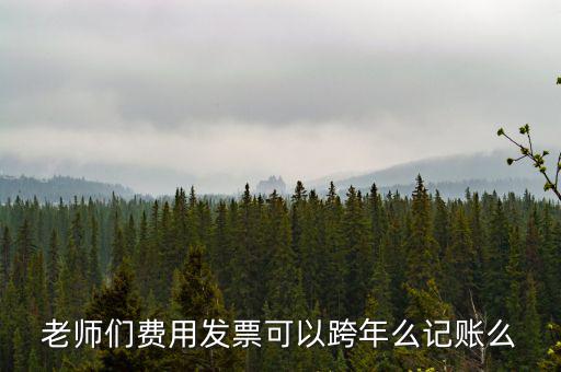 什么發(fā)票可以跨年入賬，增值稅專用發(fā)票可以跨年做賬嗎