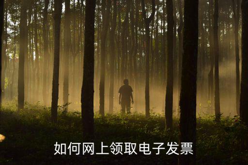 如何網(wǎng)上領取電子發(fā)票