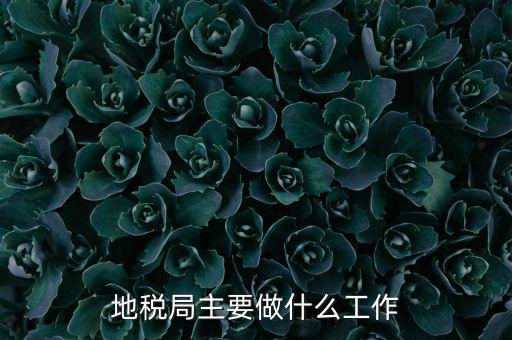 地稅局主要管什么的，地稅局工作的主要內(nèi)容