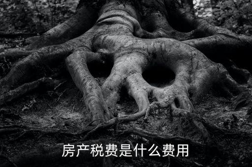 什么是房土兩稅，什么是城鎮(zhèn)土地使用稅