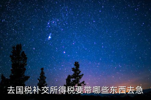 去國稅補繳增值稅要帶什么，增值稅零申報逾期申報了48天 到國稅補申報需要準備什么資料 帶什么