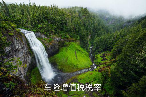 車輛保險增值稅是什么，保險公司在計算汽車商業(yè)險時為什么有增值稅