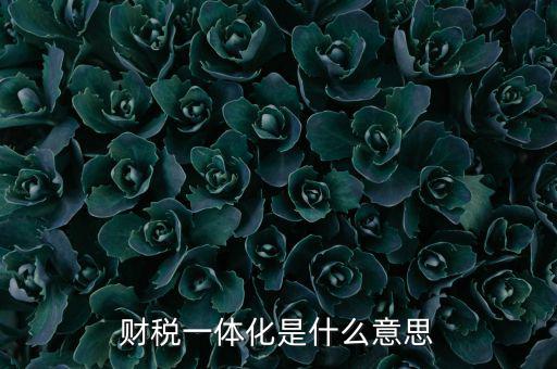 什么是稅收一體化，財(cái)稅一體化客戶端V11是什么啊必須用嗎