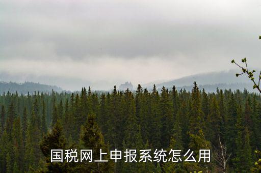 國稅網(wǎng)絡(luò)預(yù)申請系統(tǒng)是什么，怎么安裝國稅網(wǎng)上申報系統(tǒng)