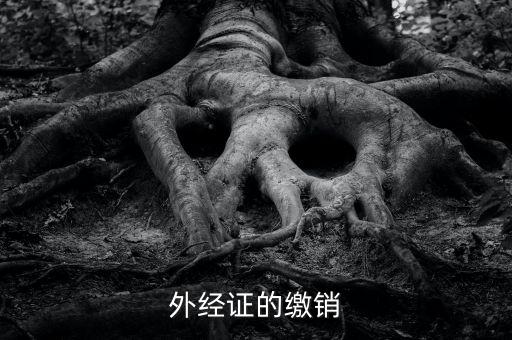 廈門繳銷外經(jīng)證國稅什么資料，廈門國稅需銷項合同是什么