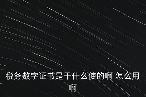 國稅ca數(shù)字證書是什么，稅務數(shù)字證書是干什么使的啊 怎么用啊