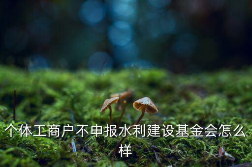 水利基金不報有什么后果，水利建設(shè)基金計稅當(dāng)月沒報有影響嗎