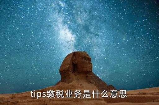 地稅tips繳款是什么意思，tips扣稅是什么意思