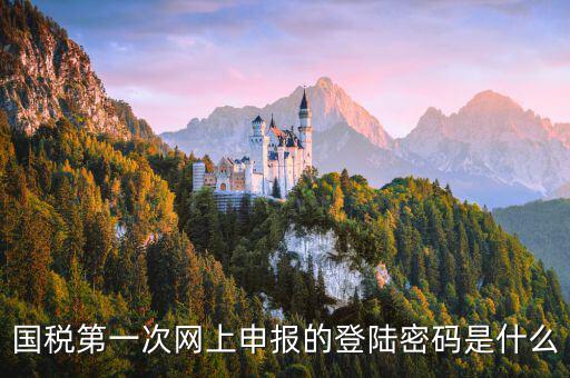 國稅網(wǎng)報(bào)口令是什么，國稅第一次網(wǎng)上申報(bào)的登陸密碼是什么