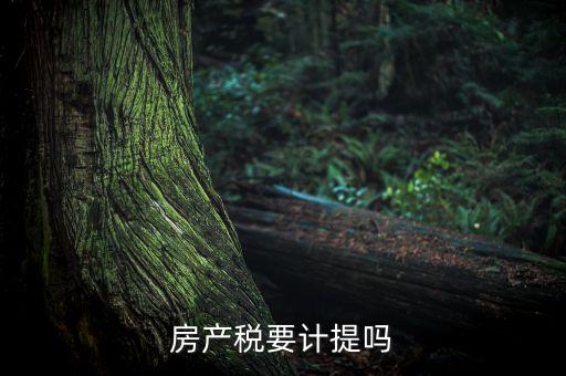 房產(chǎn)稅列入什么費用，房產(chǎn)稅要計提嗎