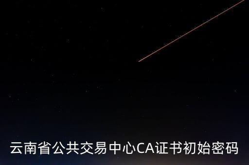 ca原始密碼登錄是什么，蘇州投標ca初始密碼