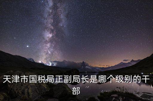 國稅局副局長(zhǎng)是什么級(jí)別，天津市國稅局正副局長(zhǎng)是哪個(gè)級(jí)別的干部
