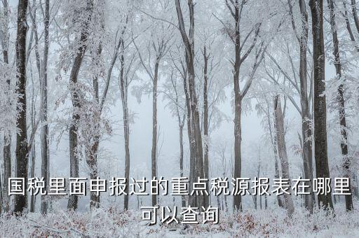 重點(diǎn)稅源預(yù)測網(wǎng)址是什么，國稅里面申報(bào)過的重點(diǎn)稅源報(bào)表在哪里可以查詢