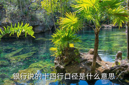 業(yè)務口徑是什么，銀行說的十四行口徑是什么意思