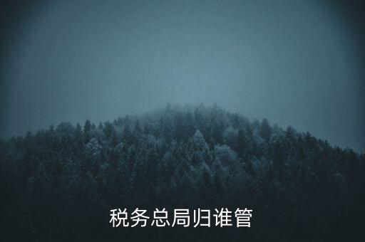 什么部門(mén)監(jiān)管?chē)?guó)稅務(wù)局，稅務(wù)局最怕什么部門(mén)